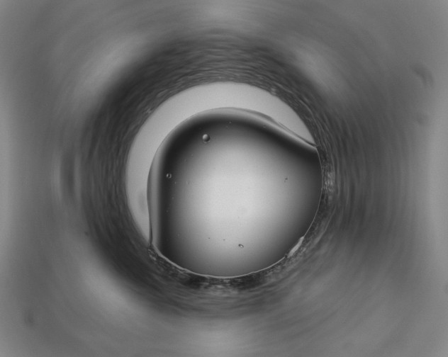 X0000112880572200909111446