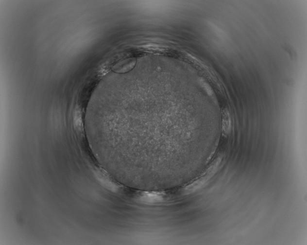 X0000112880573200909111446