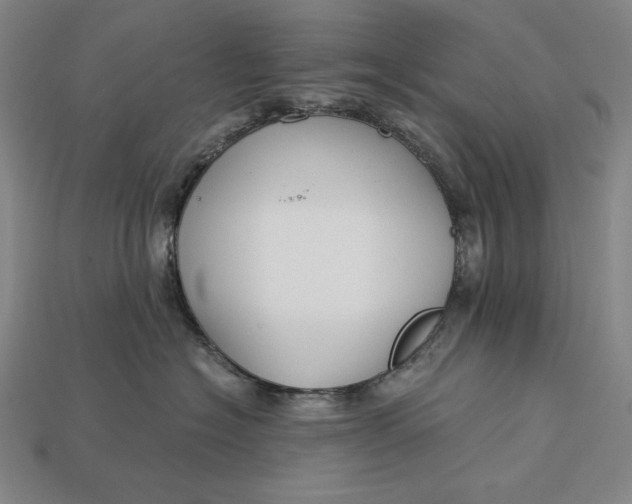 X0000112880574200909111446