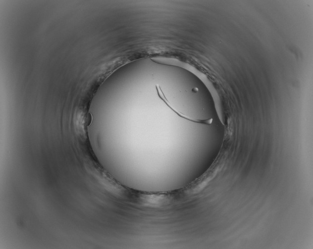 X0000112880575200909111446