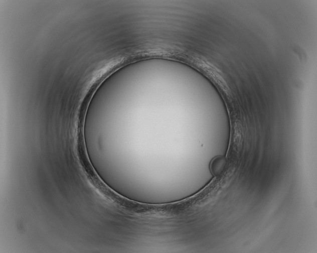 X0000112880578200909111445