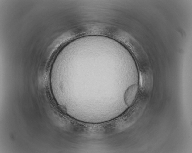 X0000112880579200909111445