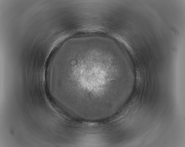 X0000112880582200909111445