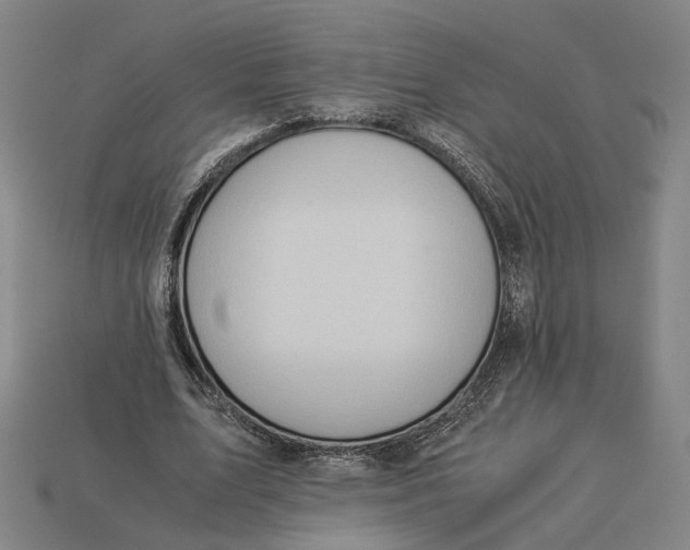 X0000112880583200909111445