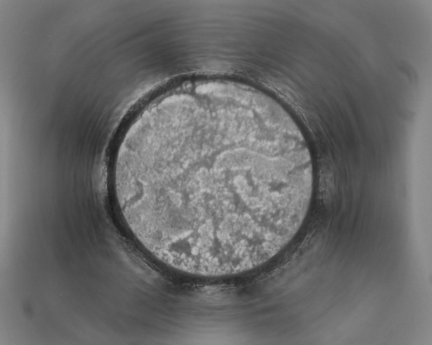 X0000112880584200909111445