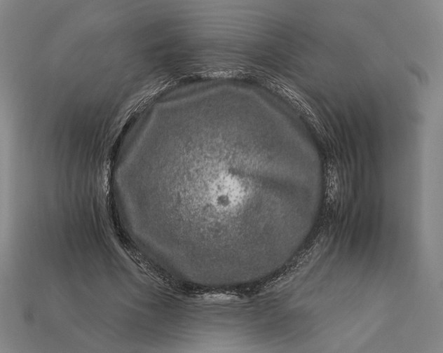 X0000112880586200909111445