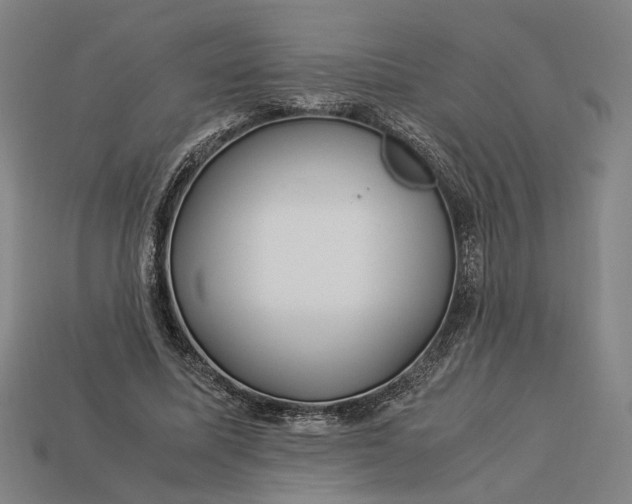 X0000112880587200909111445