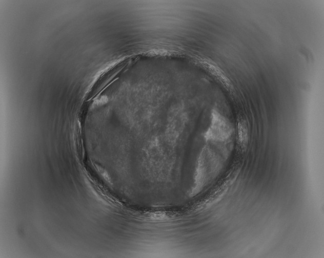 X0000112880588200909111445