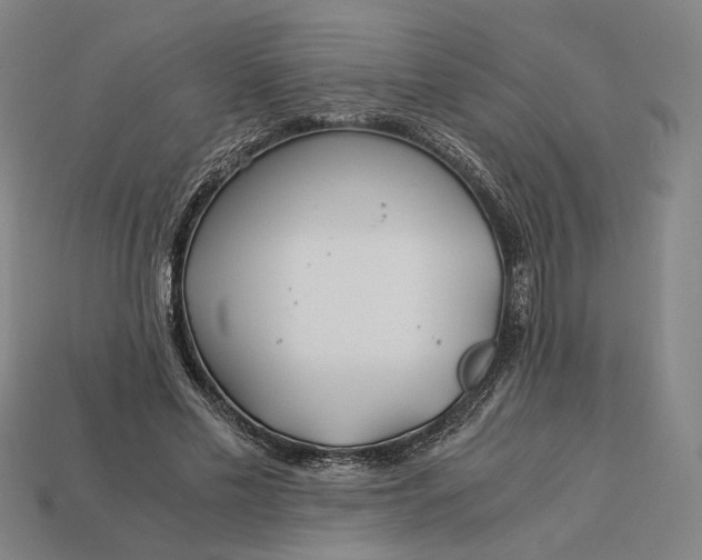 X0000112880589200909111445