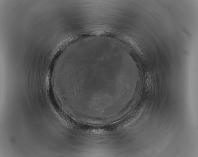 X0000112880590200909111445