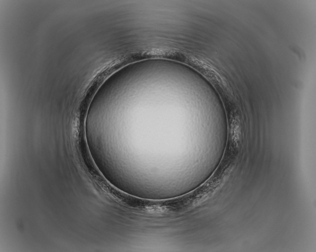 X0000112880591200909111445