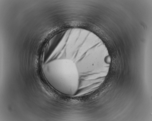 X0000112880592200909111445