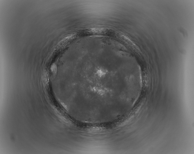 X0000112880593200909111445