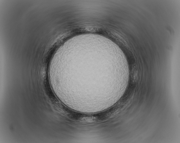 X0000112880595200909111445