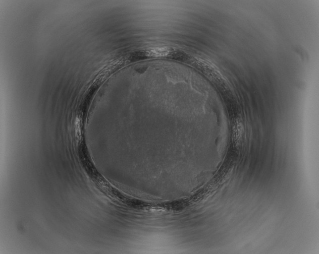 X0000112880598200909111445