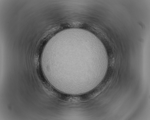 X0000112880599200909111445