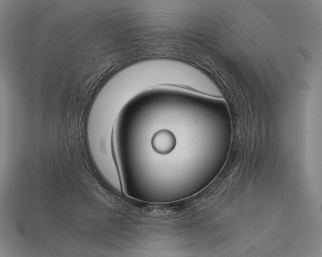 X0000112880601200909111445