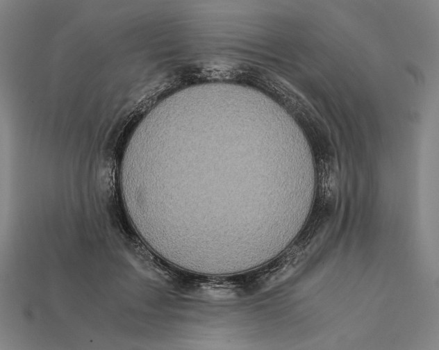 X0000112880603200909111445