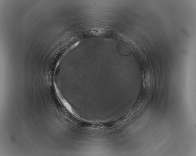 X0000112880606200909111445