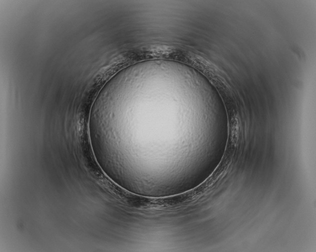 X0000112880608200909111445