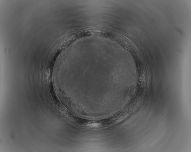 X0000112880610200909111445