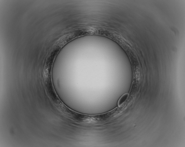 X0000112880611200909111445