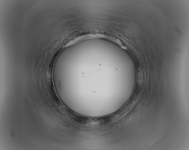 X0000112880613200909111445