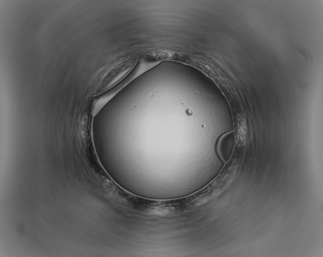 X0000112880616200909111445