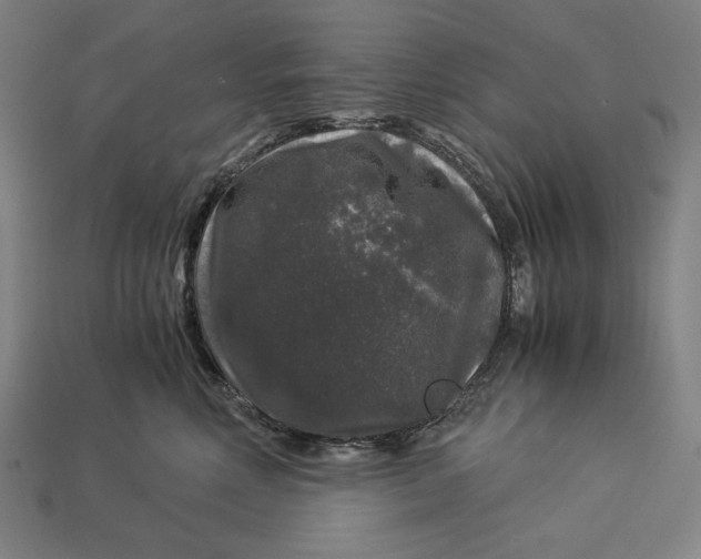 X0000112880618200909111445