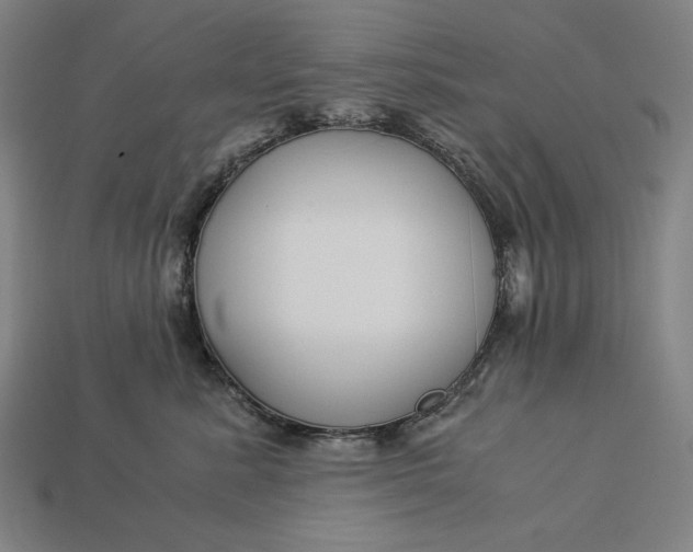 X0000112880619200909111445