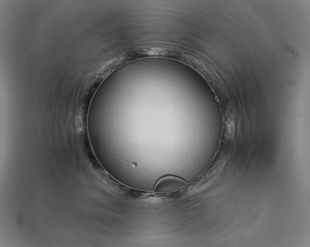 X0000112880620200909111445