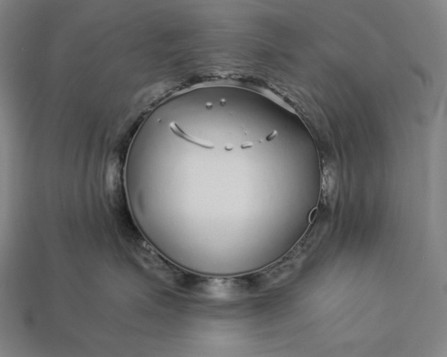 X0000112880623200909111445