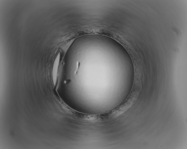 X0000112880624200909111445