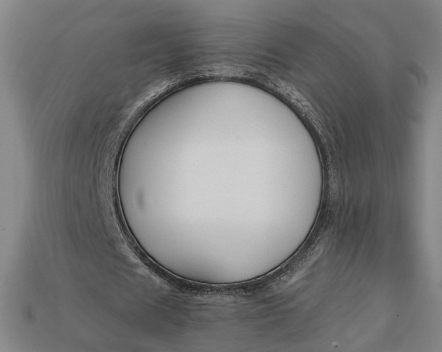 X0000112880625200909111444