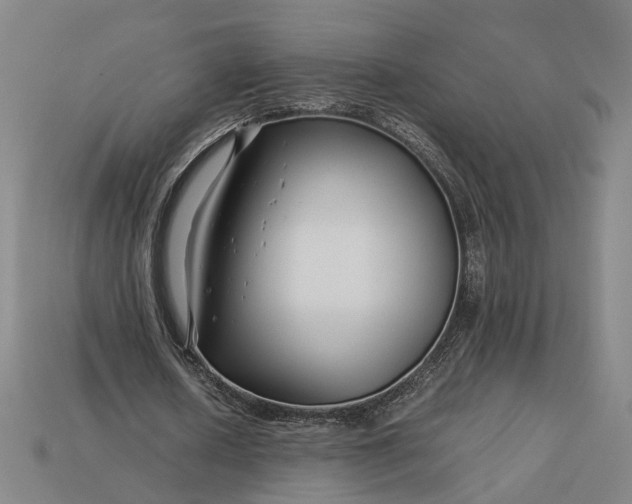 X0000112880626200909111444