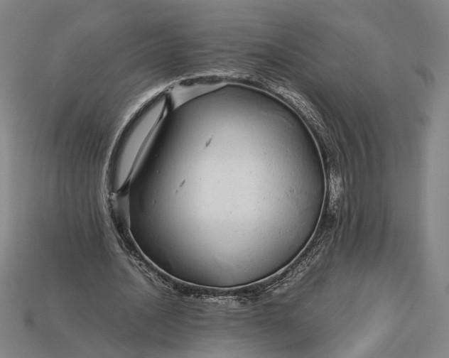 X0000112880628200909111444