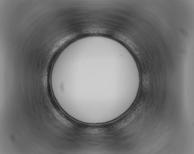 X0000112880629200909111444