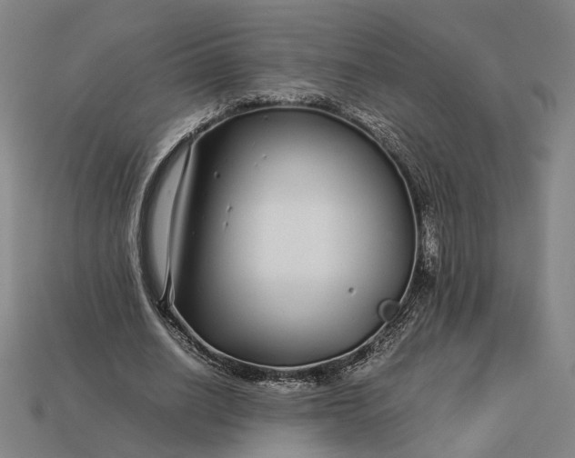 X0000112880630200909111444