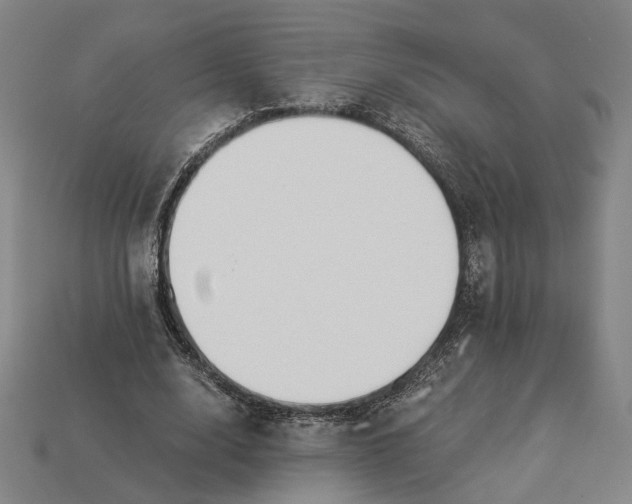 X0000112880632200909111444