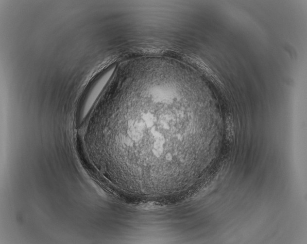 X0000112880634200909111444