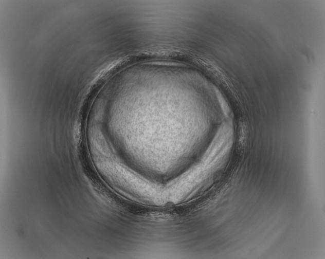 X0000112880636200909111444