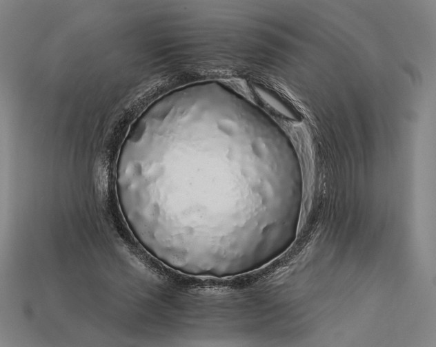 X0000112880637200909111444