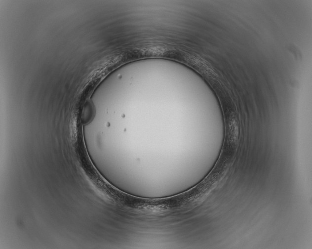 X0000112880638200909111444