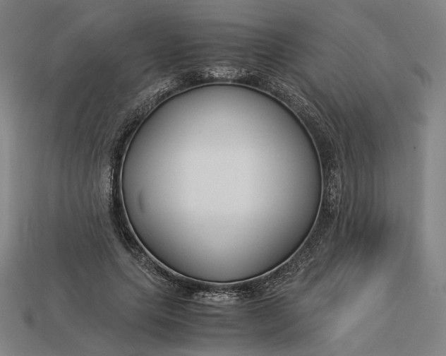 X0000112880639200909111444