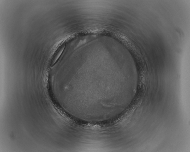 X0000112880640200909111444