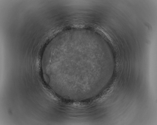 X0000112880641200909111444