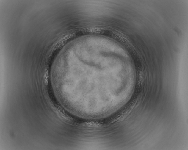 X0000112880644200909111444