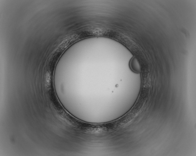 X0000112880646200909111444