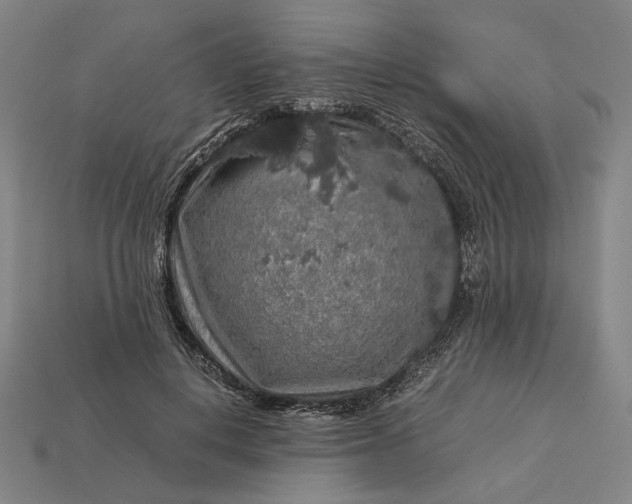 X0000112880648200909111444