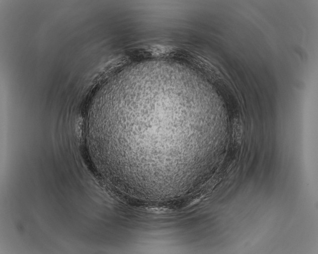 X0000112880650200909111444